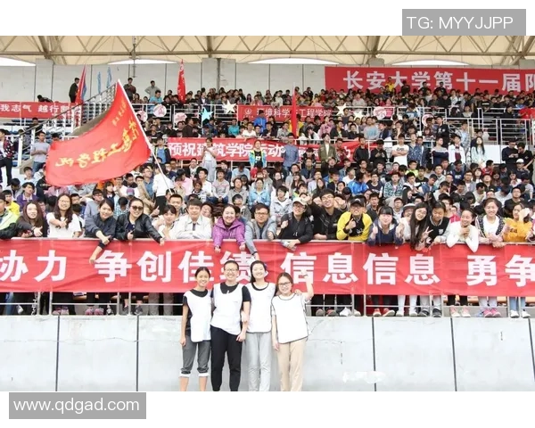 西安篮球队在篮球团队协作排行榜中荣获第二名展现出卓越团队精神与默契配合